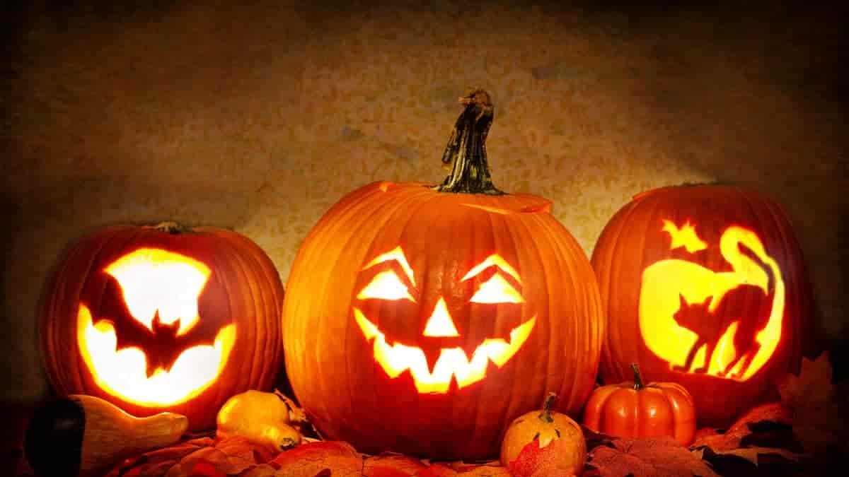 Three carved pumpkins on a table